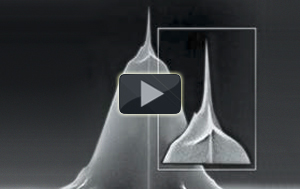 NanoWorld Pointprobe® High Aspect Ratio Tip (AR5 / AR5T) Screencast NanoWorld Pointprobe® High Aspect Ratio Tip (AR5 / AR5T) Screencast