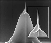 Pointprobe afm probe 2