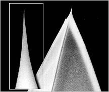 Pointprobe afm probe 3