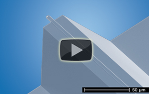 NanoWorld Ultra-Short Cantilevers (USC) Screencast NanoWorld Ultra-Short Cantilevers (USC) Screencast
