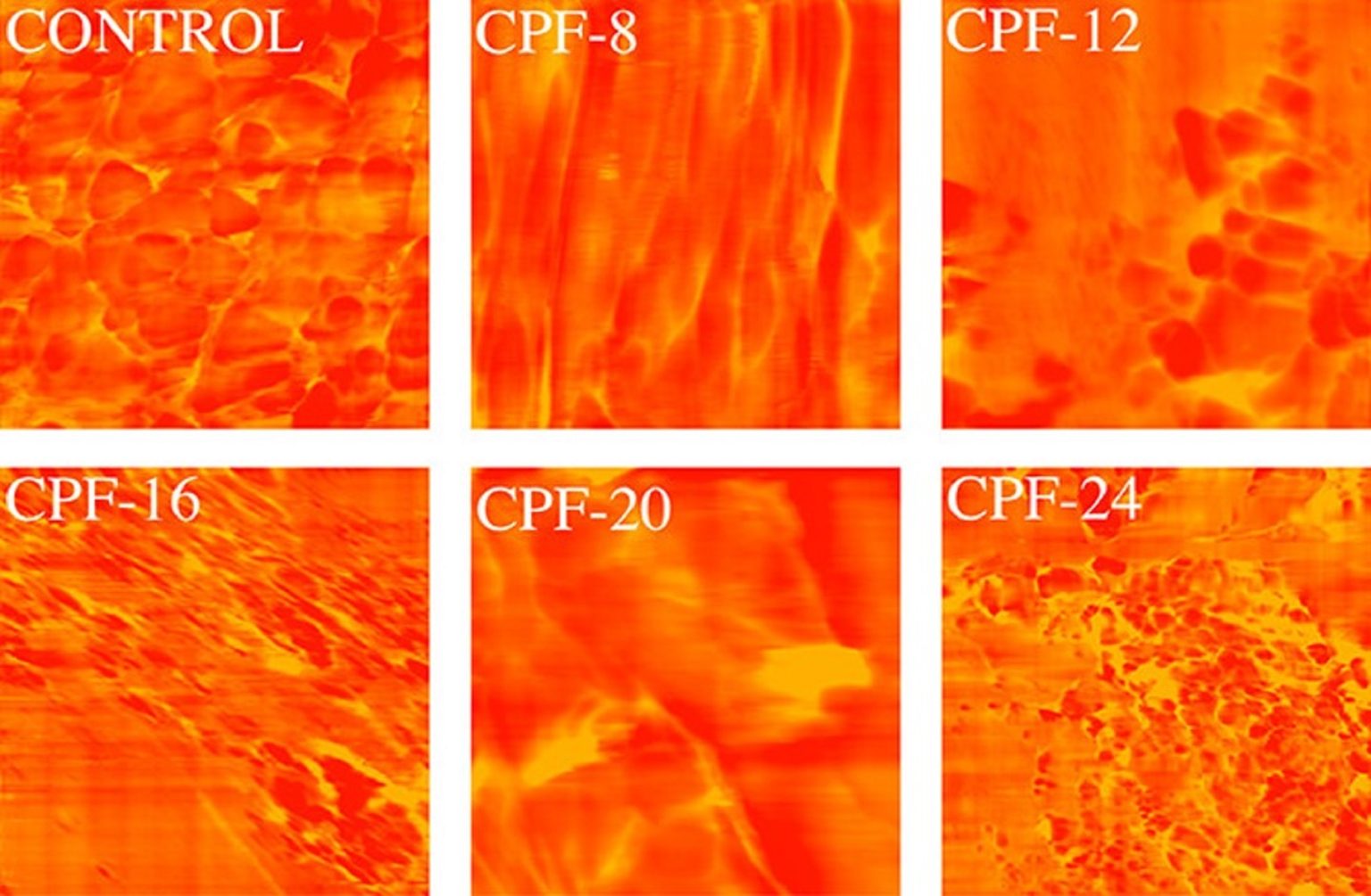 Modified Polyurethane Flexible Polyurethane Foams Modified with Novel Coconut… – Blog • by ...