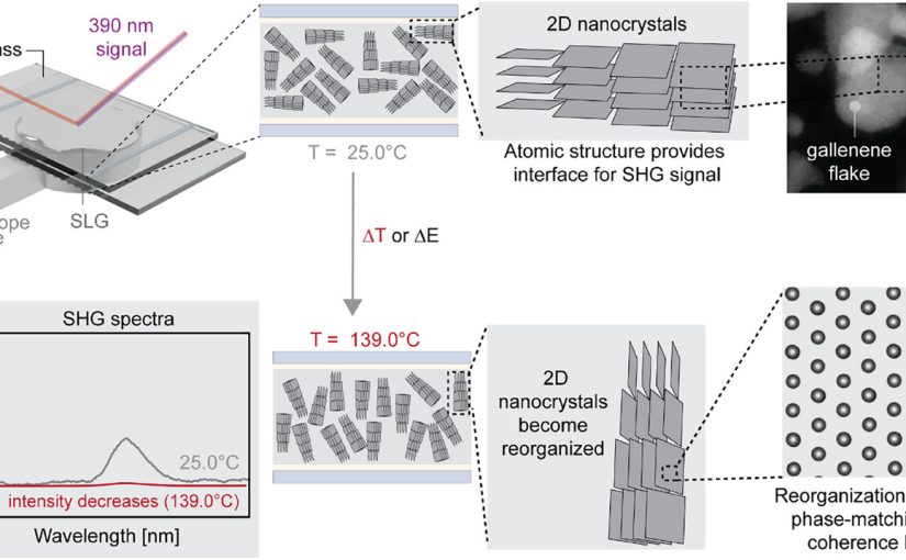 Nonlinear Optical Response in Layer-Stacked Gallenene with Ferroelectric Polarization