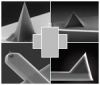 Premounted AFM Probes